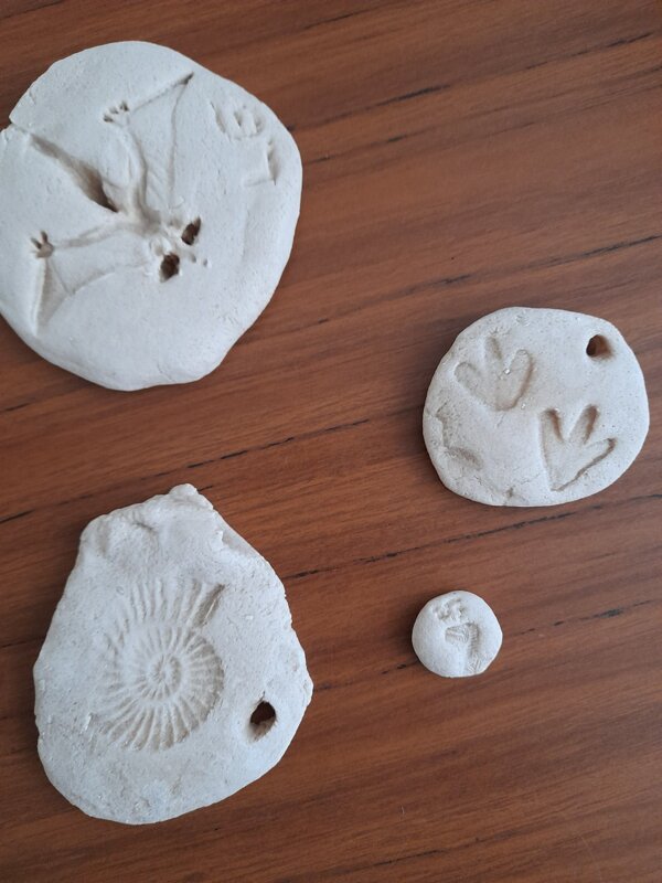 Image of SSMS - Year 6 - Making Fossils with Salt Dough