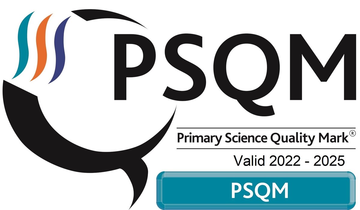 Image of WMS Awarded Primary Science Quality Mark
