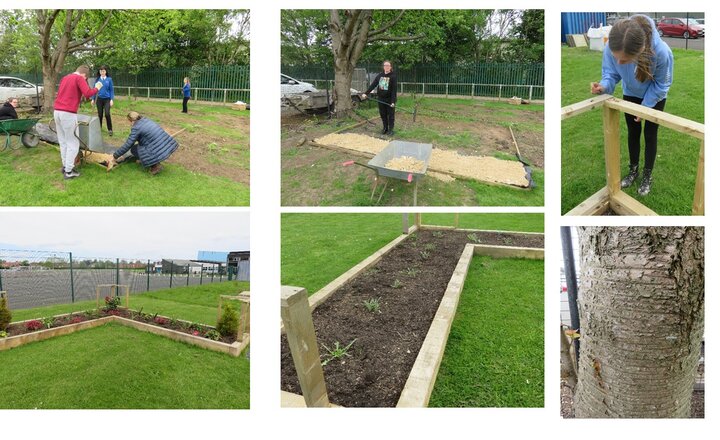 Image of ACHS - Life skills - Developing an amazing garden 