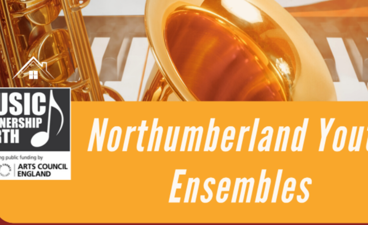 Image of Northumberland Youth Ensembles
